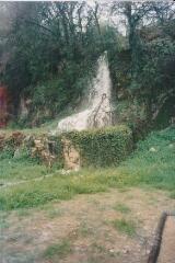 1 vue - Le Dauphin (ouvre la visionneuse)