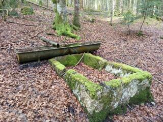 1 vue - Les Inchées (ouvre la visionneuse)