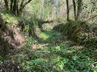 2 vues - Canal (ouvre la visionneuse)