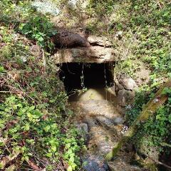 1 vue - Captage fontaine Buis (ouvre la visionneuse)