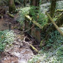 1 vue - Vanne canal du moulin (ouvre la visionneuse)