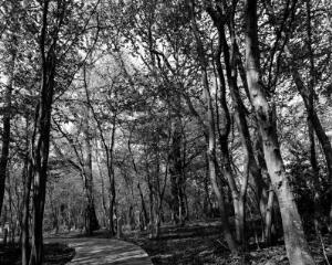 1 vue (ouvre la visionneuse)