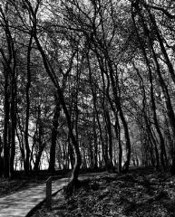 1 vue (ouvre la visionneuse)