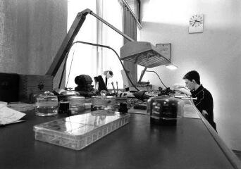 1 vue (ouvre la visionneuse)