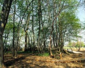 1 vue (ouvre la visionneuse)