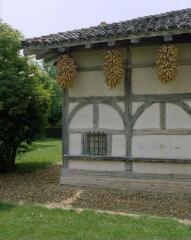 1 vue (ouvre la visionneuse)