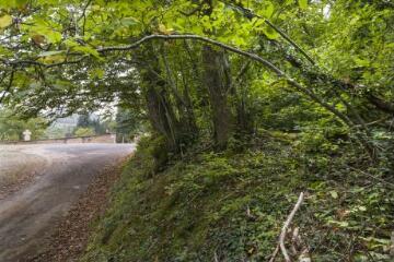 1 vue (ouvre la visionneuse)