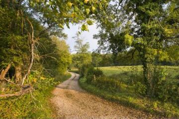 1 vue (ouvre la visionneuse)