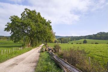 1 vue (ouvre la visionneuse)