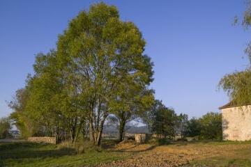 1 vue (ouvre la visionneuse)