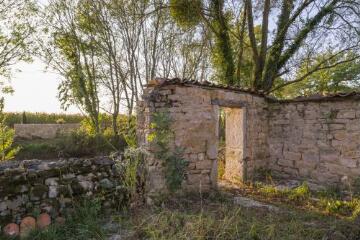 1 vue (ouvre la visionneuse)