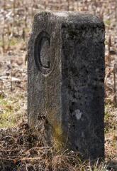 1 vue (ouvre la visionneuse)