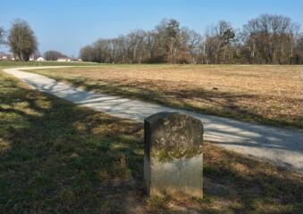 1 vue (ouvre la visionneuse)