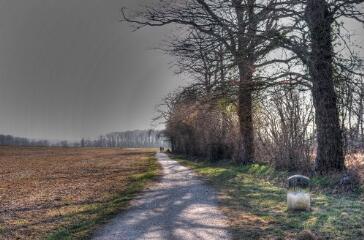 1 vue (ouvre la visionneuse)