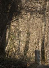 1 vue (ouvre la visionneuse)