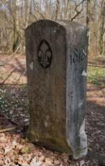 1 vue (ouvre la visionneuse)