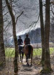 1 vue (ouvre la visionneuse)