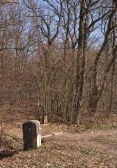 1 vue (ouvre la visionneuse)