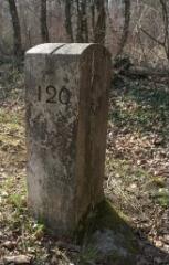 1 vue (ouvre la visionneuse)