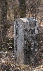 1 vue (ouvre la visionneuse)