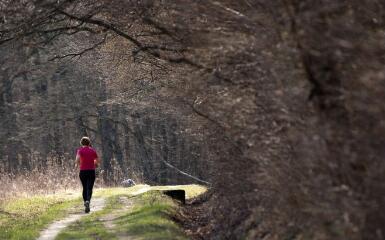 1 vue (ouvre la visionneuse)