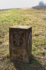 1 vue (ouvre la visionneuse)