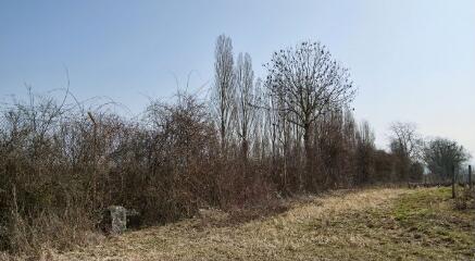 1 vue (ouvre la visionneuse)