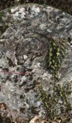 1 vue (ouvre la visionneuse)