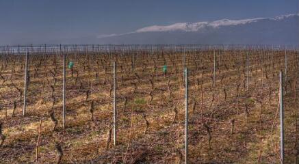 1 vue (ouvre la visionneuse)