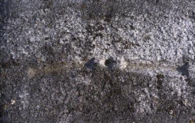 1 vue (ouvre la visionneuse)