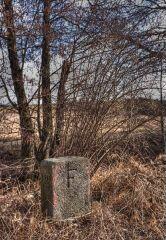 1 vue (ouvre la visionneuse)