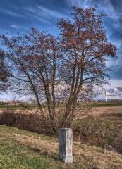 1 vue (ouvre la visionneuse)