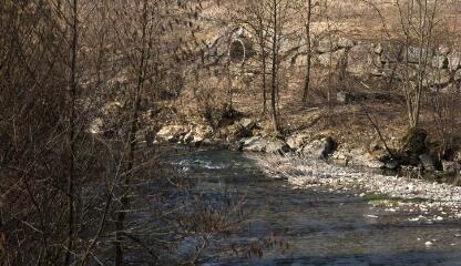 1 vue (ouvre la visionneuse)