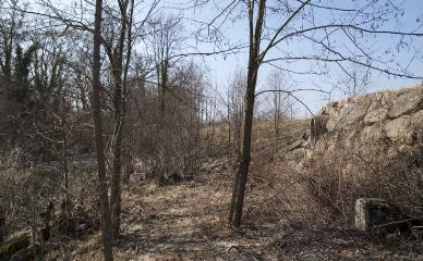 1 vue (ouvre la visionneuse)