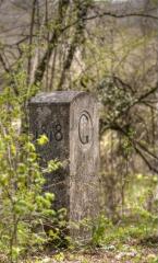 1 vue (ouvre la visionneuse)