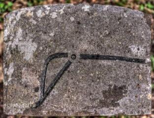 1 vue (ouvre la visionneuse)