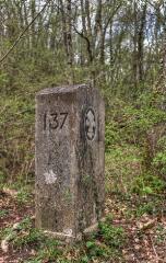 1 vue (ouvre la visionneuse)