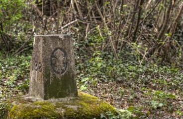 1 vue (ouvre la visionneuse)