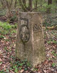 1 vue (ouvre la visionneuse)