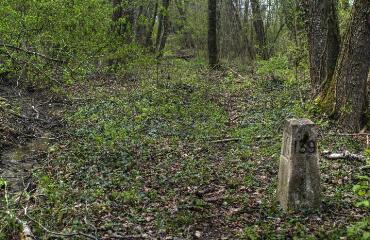 1 vue (ouvre la visionneuse)