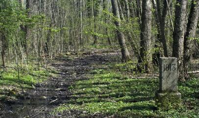 1 vue (ouvre la visionneuse)