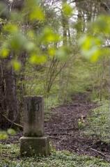 1 vue (ouvre la visionneuse)