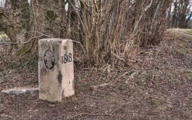 1 vue (ouvre la visionneuse)