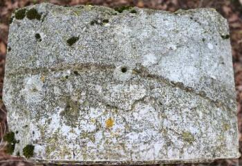 1 vue (ouvre la visionneuse)