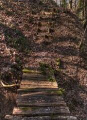 1 vue (ouvre la visionneuse)