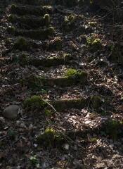 1 vue (ouvre la visionneuse)