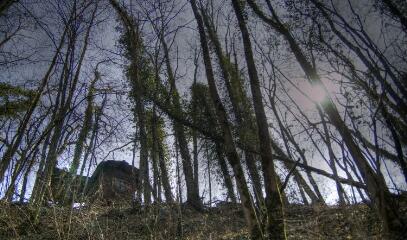 1 vue (ouvre la visionneuse)