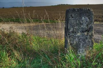 1 vue (ouvre la visionneuse)