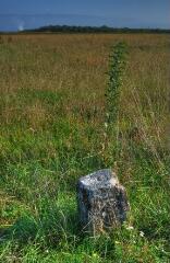 1 vue (ouvre la visionneuse)