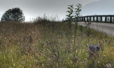 1 vue (ouvre la visionneuse)